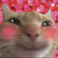 MewChan 002
