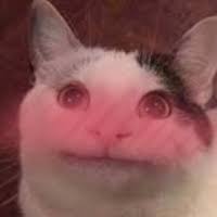 MewChan 003