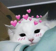 MewChan 004