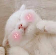 MewChan 005